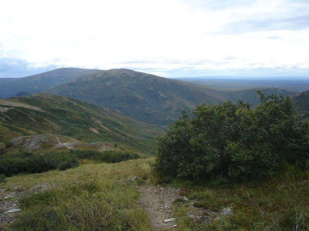 Denali Backcountry Lodge Εξωτερικό φωτογραφία