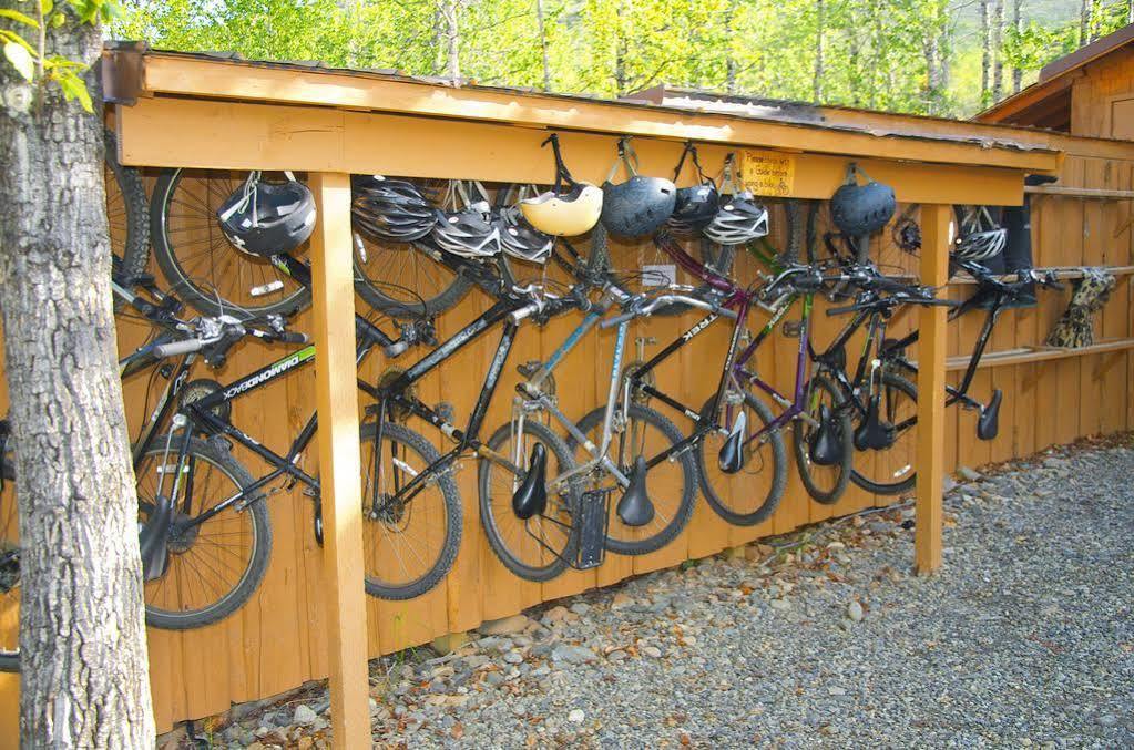 Denali Backcountry Lodge Εξωτερικό φωτογραφία